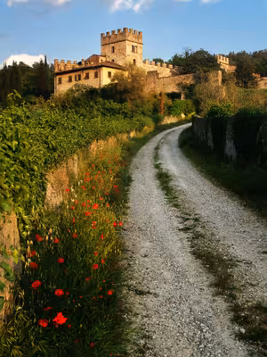 Via Buia