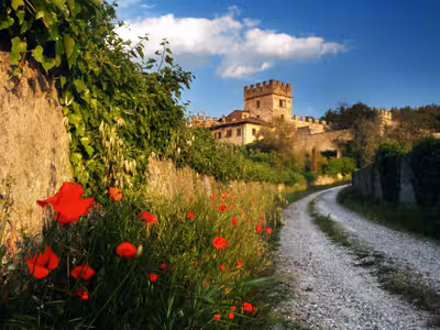 Via Buia